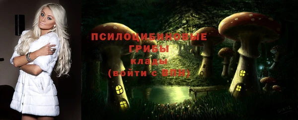 МДПВ Армянск