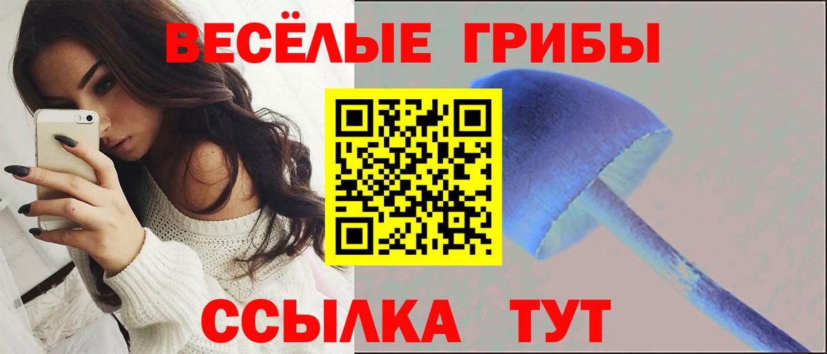 Кирово-Чепецк  Псилоцибиновые грибы Magic Shrooms  хочу   Вход с VPN 